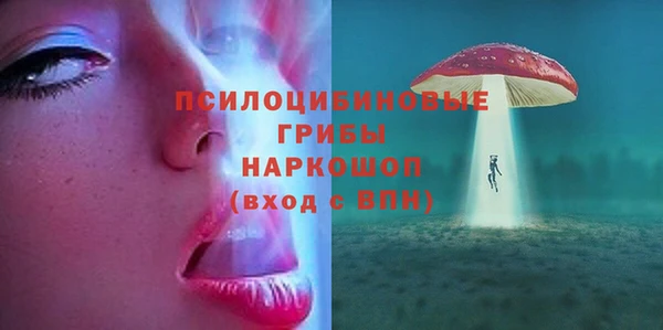 а пвп мука Новозыбков