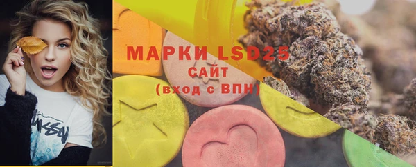 шишки Нефтегорск