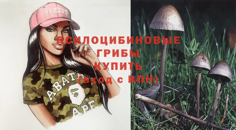 Псилоцибиновые грибы Magic Shrooms  ОМГ ОМГ ССЫЛКА  Кировск 