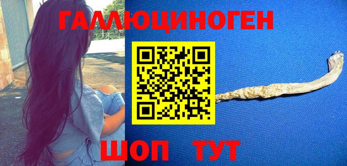 Псилоцибиновые грибы GOLDEN TEACHER Кировск