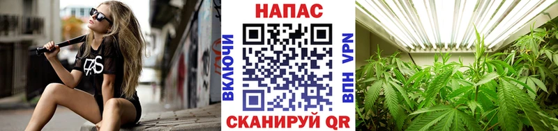 Марихуана семена Кировск